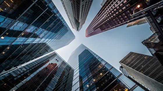 Skyscrapers in financial district of Toronto